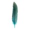 John Bead 6-9in Guinea Fowl Quill Feathers, 3 Headers (10ct.)